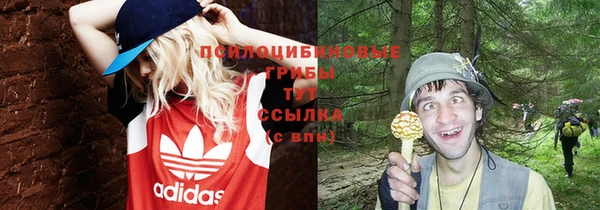 ECSTASY Волосово