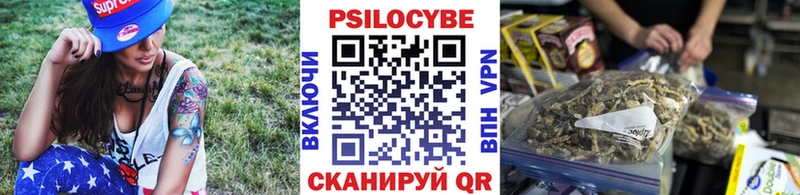 кракен как войти  Людиново  Псилоцибиновые грибы Magic Shrooms 